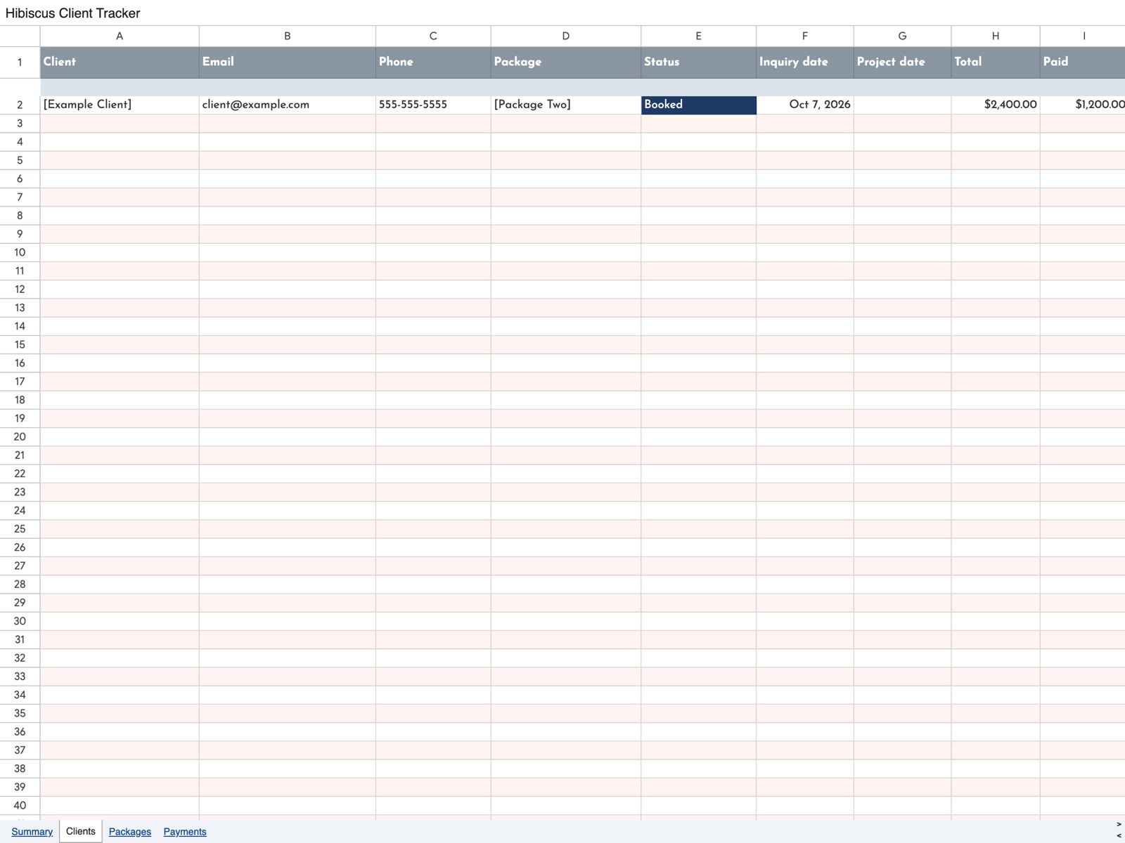 Hibiscus client tracker in Google Sheets